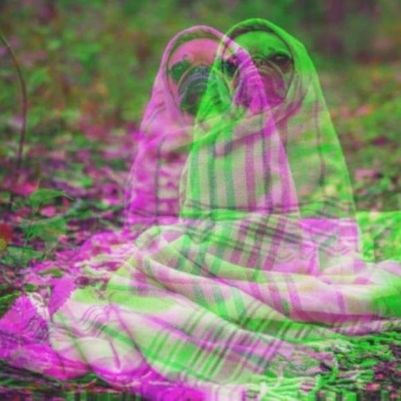 Meet your Posher, Elizabeth - Picture 1 of 1